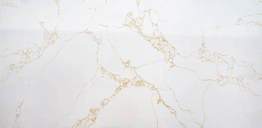 Calacatta Pure Gold