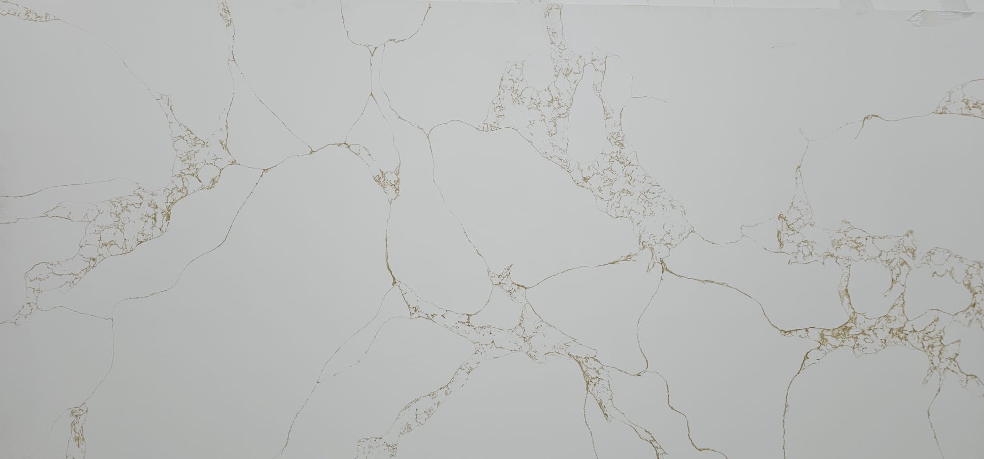 Calacatta Pure Gold by Quartz City